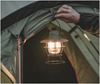 Picture of POLAR WILLOW LANTERN